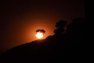 fotografia, materiale, libero il panorama, dipinga, fotografia di scorta,Albero che squaglia a sole di sera, Il sole, Il sole di setting, , 