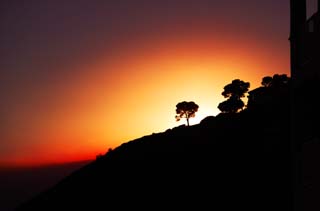 Foto, materieel, vrij, landschap, schilderstuk, bevoorraden foto,Brandende avond gloeien, Zonsondergang, De instelling zon, Boom, Silhouette