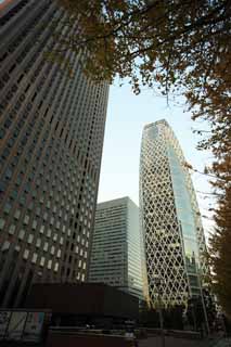 fotografia, materiale, libero il panorama, dipinga, fotografia di scorta,Shinjuku alto edificio di crepuscolo, , , , 