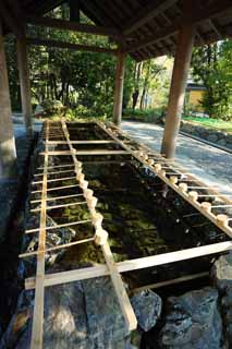 fotografia, materiale, libero il panorama, dipinga, fotografia di scorta,Ise Jingu Geku, , , , 