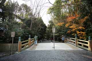 photo, la matire, libre, amnage, dcrivez, photo de la rserve,Ise Jingu Geku, , , , 