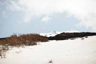 Foto, materieel, vrij, landschap, schilderstuk, bevoorraden foto,Fuji, , , , 