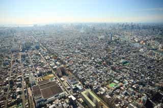fotografia, materiale, libero il panorama, dipinga, fotografia di scorta,Tokyo panoramica, , , , 