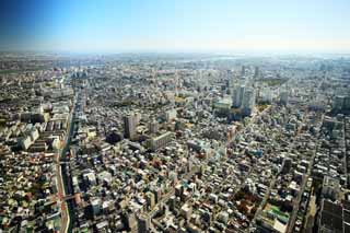 Foto, materieel, vrij, landschap, schilderstuk, bevoorraden foto,Panoramisch Tokyo, , , , 