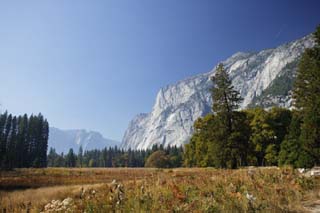 fotografia, materiale, libero il panorama, dipinga, fotografia di scorta,Pallavolo di Yosemite, erboso chiaramente, pietra, rupe, albero