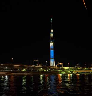 Foto, materiell, befreit, Landschaft, Bild, hat Foto auf Lager,Sky Tree, , , , 