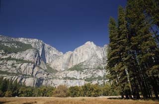 photo,material,free,landscape,picture,stock photo,Creative Commons,It looks up at the cliff. , cliff, rock, forest, tree