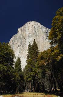 photo, la matire, libre, amnage, dcrivez, photo de la rserve,Il lve les yeux vers la falaise. , falaise, pierre, fort, arbre