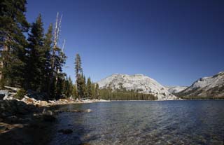 fotografia, materiale, libero il panorama, dipinga, fotografia di scorta,Lago di Tenaya che diviene quietamente esso, stagno, lago, Acqua fredda, La foresta