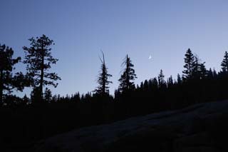 photo,material,free,landscape,picture,stock photo,Creative Commons,The moon in woods in evening, At dark, The moon, forest, star