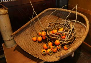 fotografia, materiale, libero il panorama, dipinga, fotografia di scorta,La verit e cesto di bamb di persimmon, colino, , , Persimmon giapponese