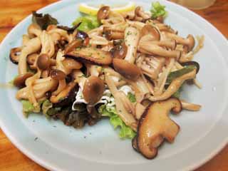 foto,tela,gratis,paisaje,fotografa,idea,Mushroom stir-fry, , , , 