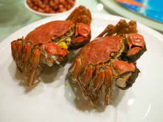 Foto, materiell, befreit, Landschaft, Bild, hat Foto auf Lager,Shanghai Crab, , , , 