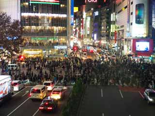 foto,tela,gratis,paisaje,fotografa,idea,Codificacin de la interseccin de Shibuya., , , , 