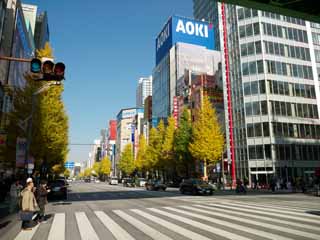 Foto, materieel, vrij, landschap, schilderstuk, bevoorraden foto,Akihabara, , , , 