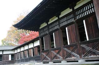 photo,material,free,landscape,picture,stock photo,Creative Commons,Wall, Buddhism, Mikado, wall, temple