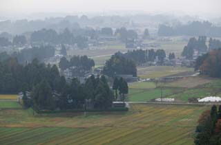 fotografia, materiale, libero il panorama, dipinga, fotografia di scorta,Coltivi villaggio in Asaka, coltivi villaggio, campo, casa privata, foresta di frangivento