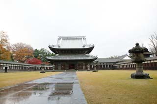 foto,tela,gratis,paisaje,fotografa,idea,Templo de Ruuge, Buddhism, Templo, Techo, 