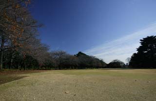 photo,material,free,landscape,picture,stock photo,Creative Commons,Lawn plaza, The ground, lawn, Fallen leaves, blue sky