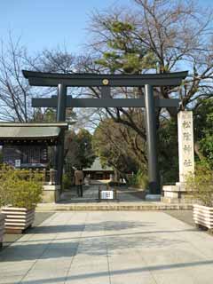 photo,material,free,landscape,picture,stock photo,Creative Commons,Shoin-jinja Shrine, , , , 