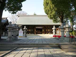 fotografia, materiale, libero il panorama, dipinga, fotografia di scorta,Shoin jinja-Santuario, , , , 