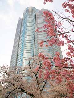photo,material,free,landscape,picture,stock photo,Creative Commons,Roppongi Hills, , , , 
