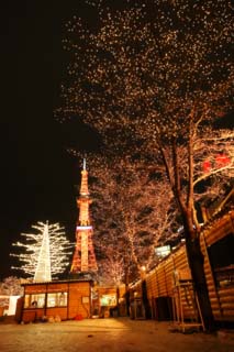 foto,tela,gratis,paisaje,fotografa,idea,La noche de un parque de calle principal, Cielo de noche, Luz, Iluminacin, Torre