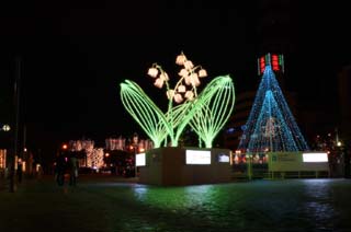 fotografia, materiale, libero il panorama, dipinga, fotografia di scorta,Oggetto di arte di luminarie, cielo serale, luce, Illuminazione, giglio della valle