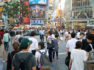 fotografia, materiale, libero il panorama, dipinga, fotografia di scorta,Shibuya, , , , 