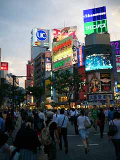 Foto, materieel, vrij, landschap, schilderstuk, bevoorraden foto,Shibuya, , , , 