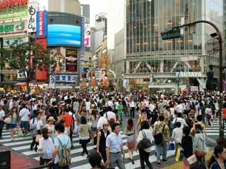 Foto, materieel, vrij, landschap, schilderstuk, bevoorraden foto,Shibuya kruispunt, , , , 