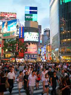 Foto, materiell, befreit, Landschaft, Bild, hat Foto auf Lager,Die Kreuzung von Shibuya, , , , 