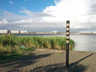 Foto, materiell, befreit, Landschaft, Bild, hat Foto auf Lager,Tama River Estuary, , , , 