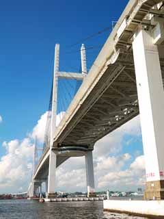 Foto, materiell, befreit, Landschaft, Bild, hat Foto auf Lager,Bay Bridge, , , , 