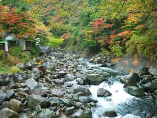 Foto, materiell, befreit, Landschaft, Bild, hat Foto auf Lager,Fluss, , , , 