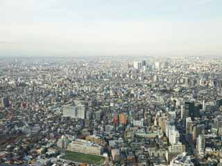 fotografia, materiale, libero il panorama, dipinga, fotografia di scorta,Tokyo, , , , 