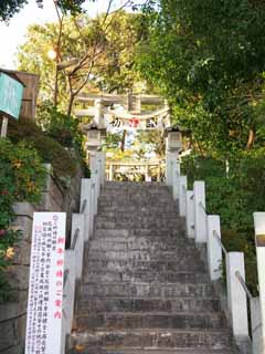Foto, materieel, vrij, landschap, schilderstuk, bevoorraden foto,De Tamagawa Sengen Shrine, , , , 