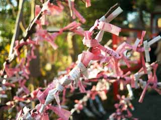 foto,tela,gratis,paisaje,fotografa,idea,La Tamagawa Sengen Shrine, , , , 