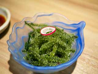 photo,material,free,landscape,picture,stock photo,Creative Commons,Sea Grapes, , , , 