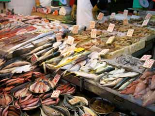 fotografia, materiale, libero il panorama, dipinga, fotografia di scorta,Il concessionario di pesce, , , , 