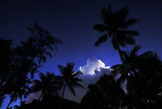 fotografia, materiale, libero il panorama, dipinga, fotografia di scorta,La nube che pu splendere di un paese meridionale, albero di cocco, nube, Lasi, cielo blu