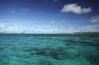 fotografia, material, livra, ajardine, imagine, proveja fotografia,O mar que est claro, e vai, ilha, Coral, , gua