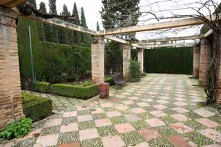 photo,material,free,landscape,picture,stock photo,Creative Commons,Generalife cypresses corridor, , , , 