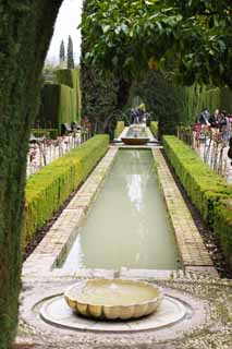 fotografia, materiale, libero il panorama, dipinga, fotografia di scorta,Generalife cipressi corridoio, , , , 