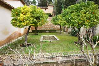 fotografia, materiale, libero il panorama, dipinga, fotografia di scorta,Generalife, , , , 