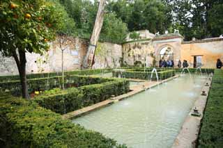 photo, la matire, libre, amnage, dcrivez, photo de la rserve,Generalife Sultan de l'courtyard, , , , 