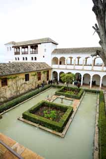 photo,material,free,landscape,picture,stock photo,Creative Commons,Generalife Sultan of the courtyard, , , , 