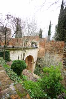 photo, la matire, libre, amnage, dcrivez, photo de la rserve,Palais de l'Alhambra, , , , 