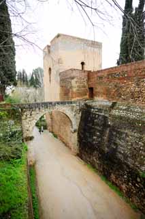 photo, la matire, libre, amnage, dcrivez, photo de la rserve,Palais de l'Alhambra, , , , 