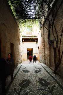 photo,material,free,landscape,picture,stock photo,Creative Commons,Alhambra Palace female Earl Royal Palace, , , , 